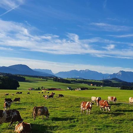 Idyllische Designer-Apartments Am Bio-Bauernhof In Salzburgerseenland Schmiding 10 Seekirchen am Wallersee Zewnętrze zdjęcie