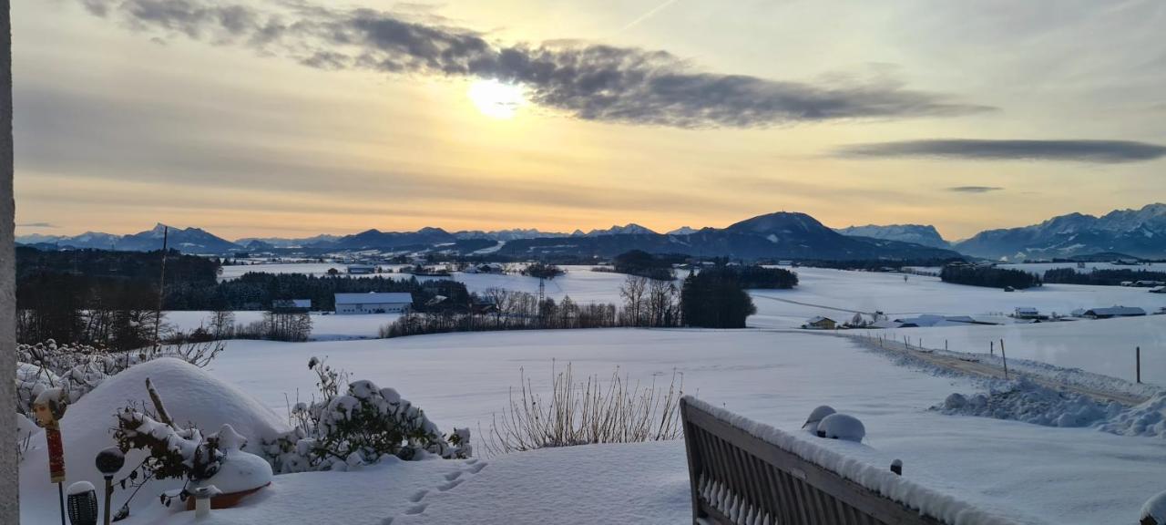 Idyllische Designer-Apartments Am Bio-Bauernhof In Salzburgerseenland Schmiding 10 Seekirchen am Wallersee Zewnętrze zdjęcie