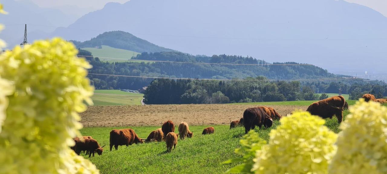Idyllische Designer-Apartments Am Bio-Bauernhof In Salzburgerseenland Schmiding 10 Seekirchen am Wallersee Zewnętrze zdjęcie